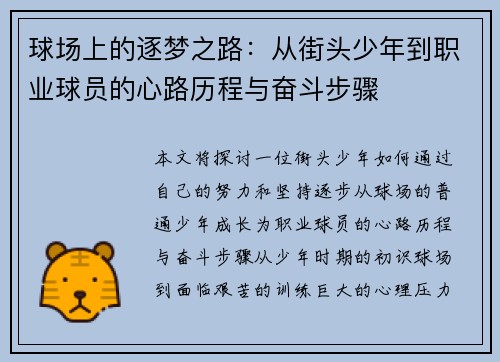 球场上的逐梦之路：从街头少年到职业球员的心路历程与奋斗步骤