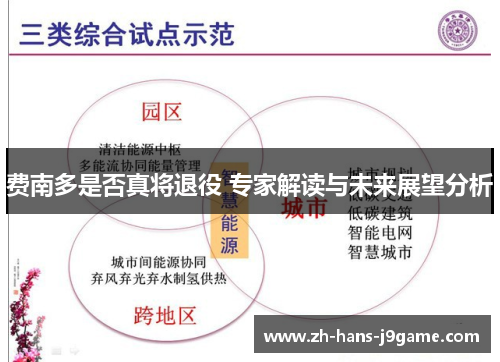 费南多是否真将退役 专家解读与未来展望分析