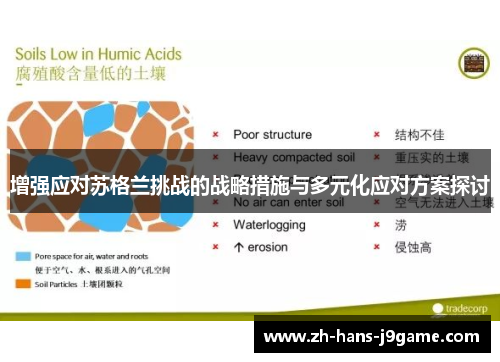 增强应对苏格兰挑战的战略措施与多元化应对方案探讨