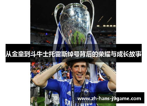 从金童到斗牛士托雷斯绰号背后的荣耀与成长故事