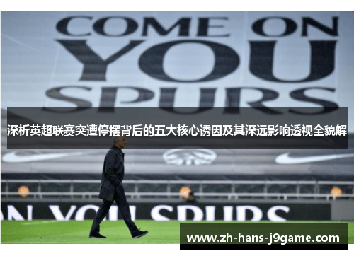 深析英超联赛突遭停摆背后的五大核心诱因及其深远影响透视全貌解 深析英超联赛突遭停摆背后的五大核心诱因及其深远影响透视全貌解